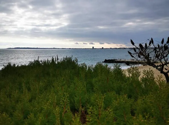 студио Sun Day в Royal Palm, влас Apartamento Sveti Vlas